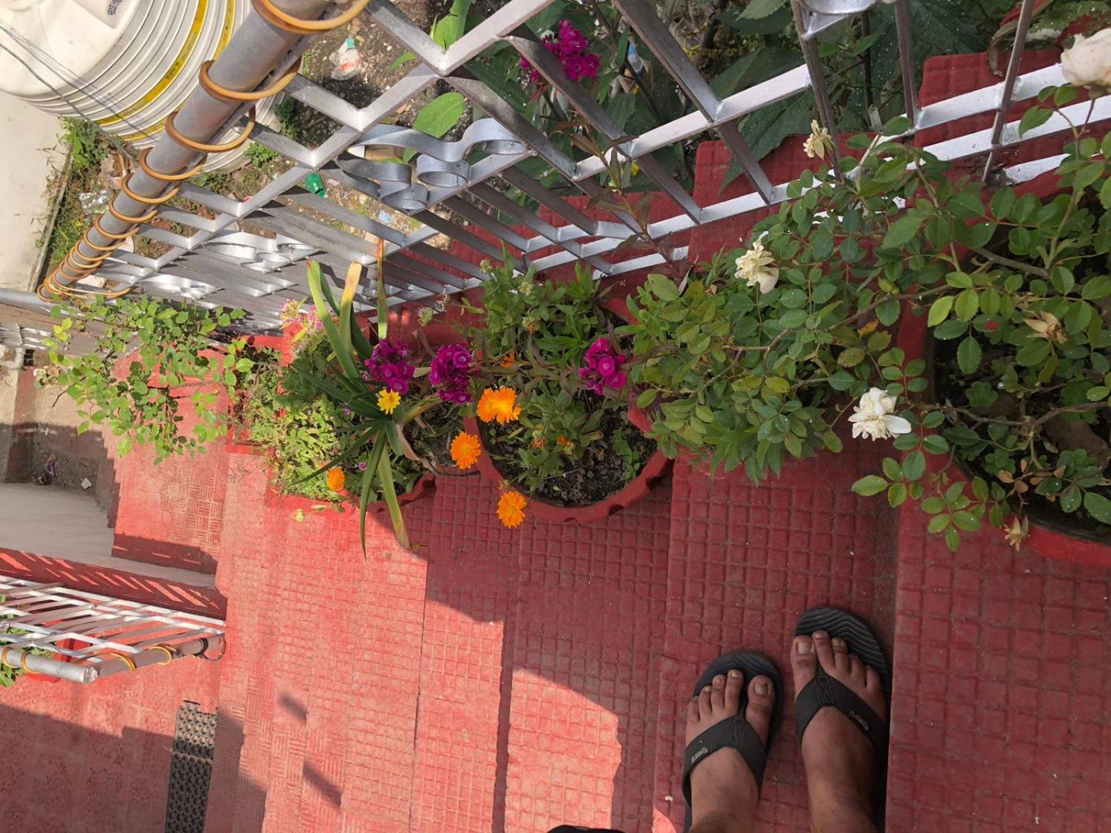 Jindal Home Stay Masuri Exterior foto